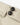 Naturfarbene Wolle Baumwolle Elastan Bundfaltenhose von Luciano Barbera - Trousers LUCIANO BARBERA