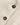 Naturfarbener Minimalmuster Zweiknopf - Blazer von Circolo - Blazers CIRCOLO 1901