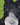 60x40 Tageshase – Nr.171 2008 von Tina Oelker - ART Tina Oelker