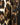 Camel - weißes Colombo Leopard Audrey Dress von Samantha Sung - Dresses SAMANTHA SUNG