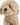 Hellcremefarbener Dog Key Holder von Mia Bag - Accessories MIA BAGS