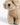 Hellcremefarbener Dog Key Holder von Mia Bag - Accessories MIA BAGS
