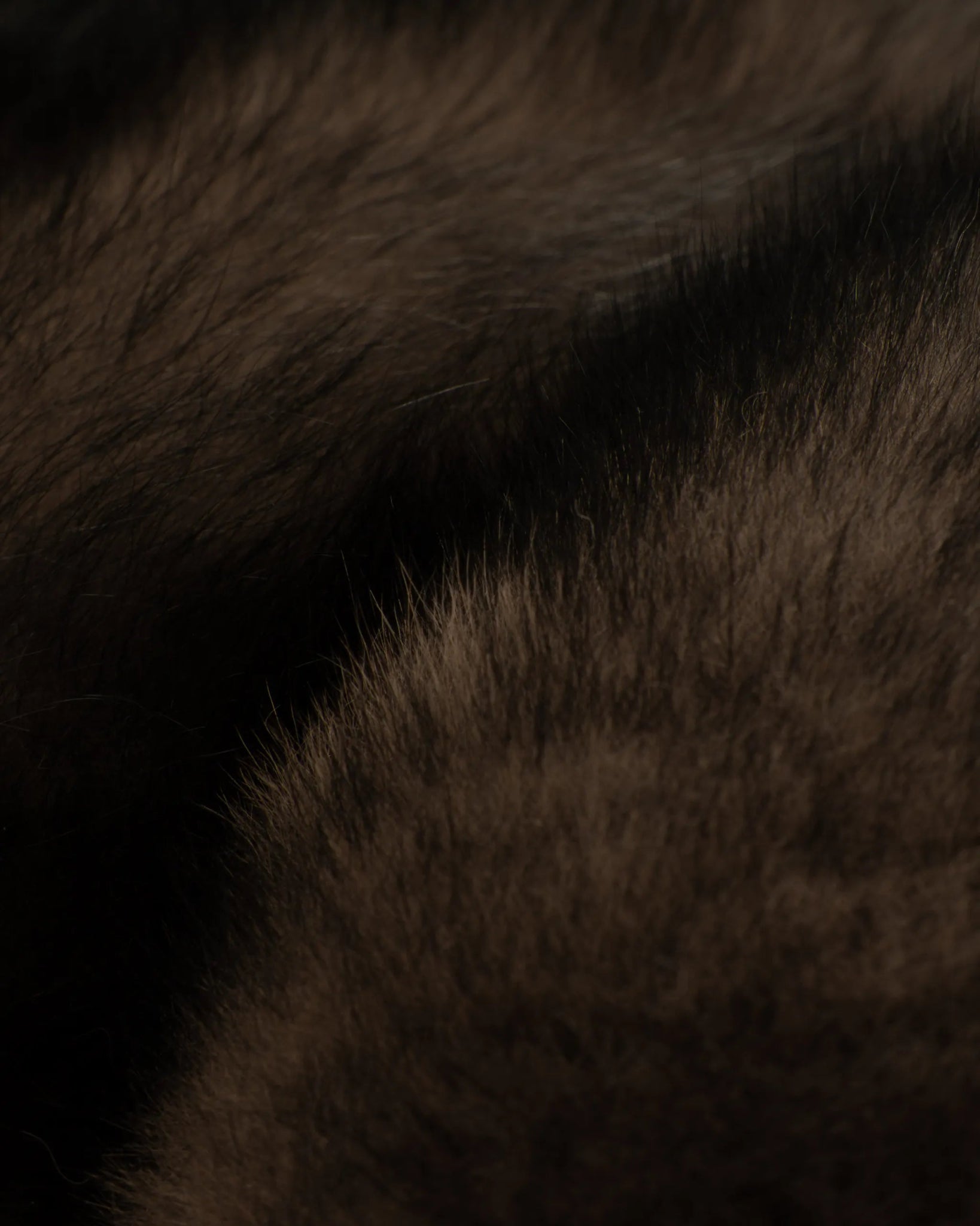Langes Zobelbesatz - Fuchs - Gilet mit Reißverschluss von Suprema - Vests SUPREMA