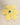 Marfilfarbener Grobstrick Schal mit Aufgesetzten Blumen von Frantic by Andrea Venturini - Knitwear FRANTIC