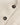 Naturfarbener Minimalmuster Zweiknopf - Blazer von Circolo - Blazers CIRCOLO 1901