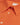 Orangefarbene Hautnahe Superelastische Bluse von Caliban - Blouses CALIBAN