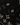 Schwarzes Seiden Bandana Tuch von Seafarer - Accessories SEAFARER