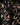 MOOSE KNUCKLES | CAMOU - FOX TRIM DOWN JACKET - Coats & Jackets MOOSE KNUCKLES